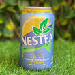 Iced Tea Can 355ml