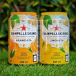 Sanpellegrino 330ml, variety of flavors